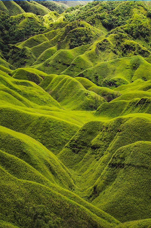 Sunkissed Dzukou Valley, Nagaland, India